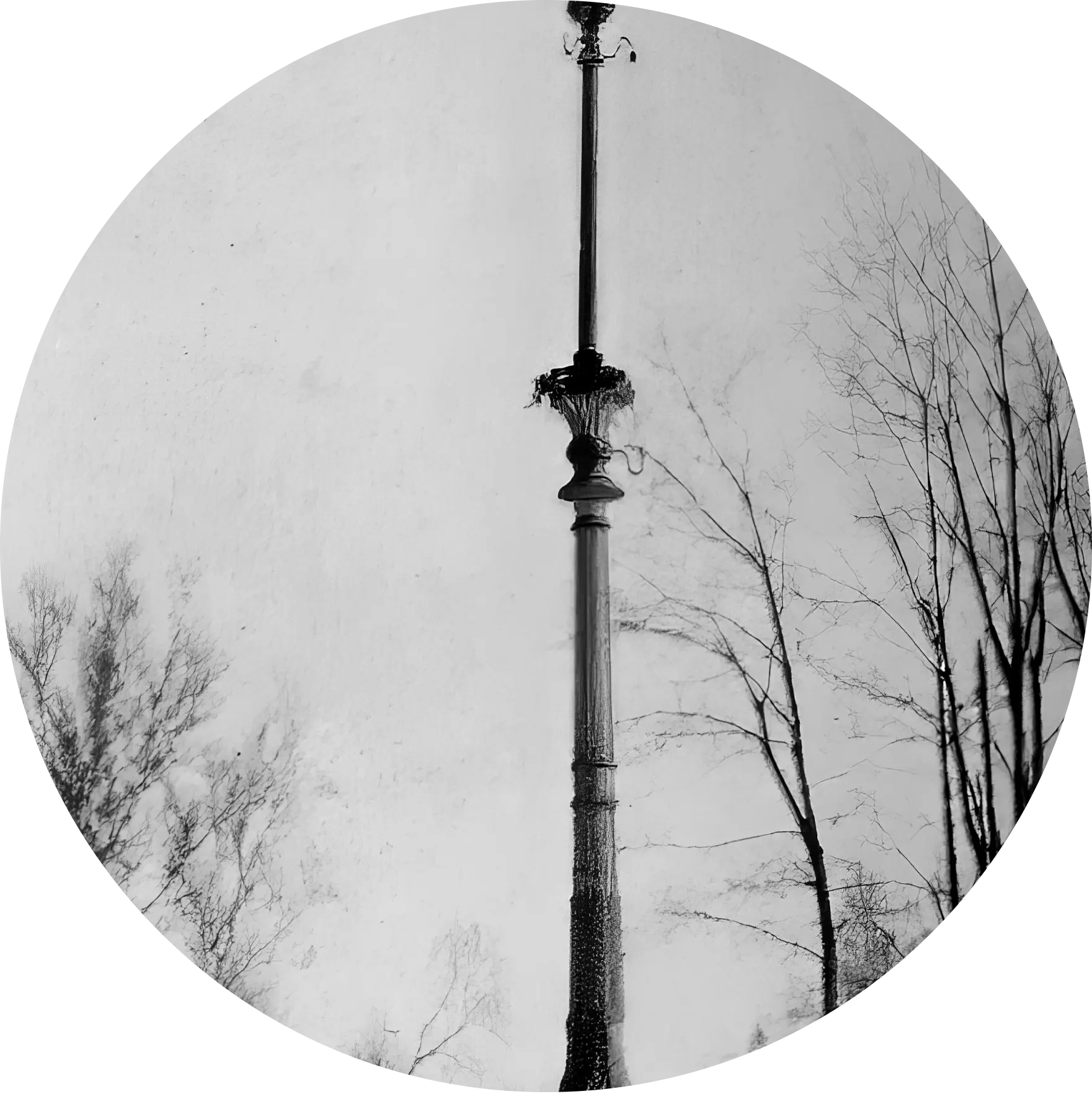 1941